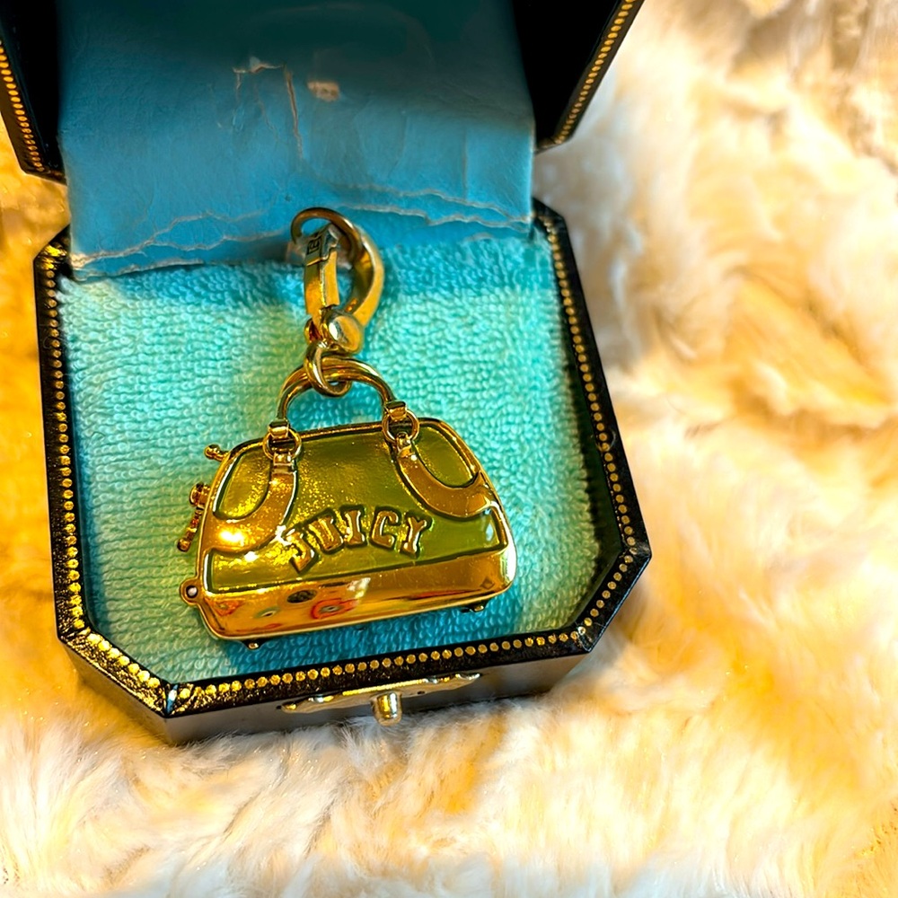 Vintage Juicy Couture Dog Carrier Charm!